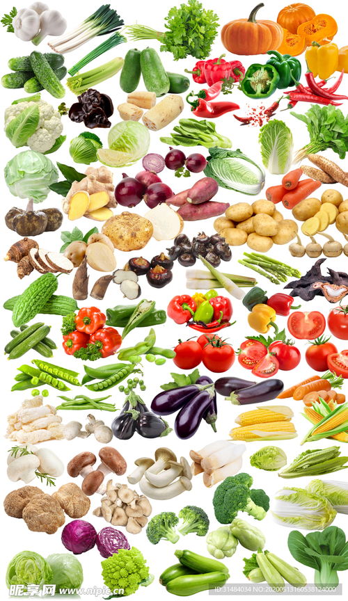 高清多款蔬菜免摳圖片設(shè)計圖 賦能創(chuàng)意與效率的視覺素材