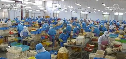 拓市場穩訂單，我國蔬菜出口逐步回暖