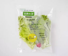 蘇州松下新植物工廠蔬菜正式出貨，科技農業開啟綠色新篇章